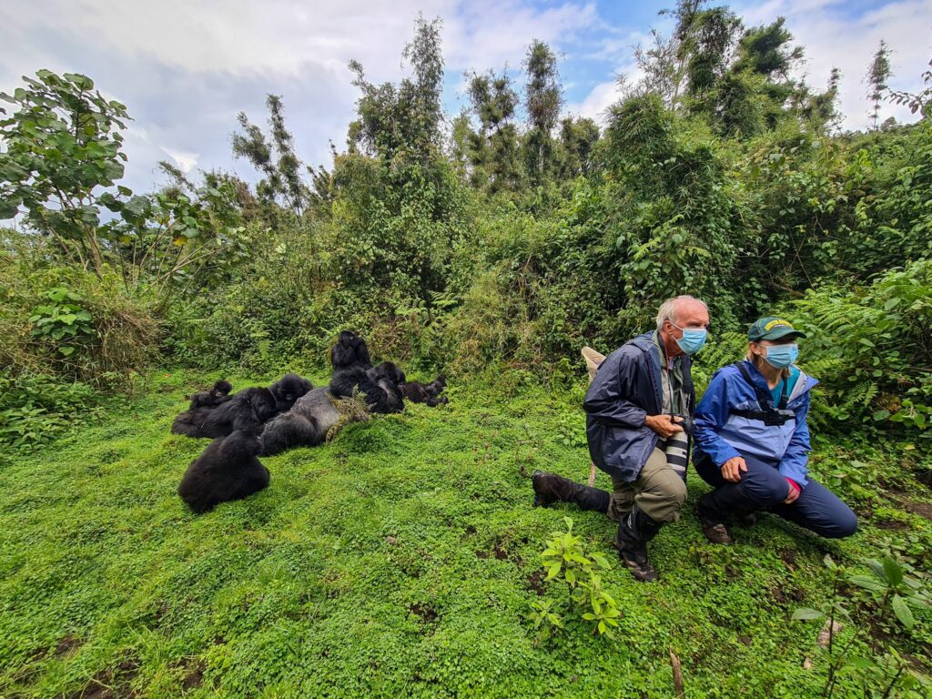 Gorilla Trekking & Wildlife Experience
