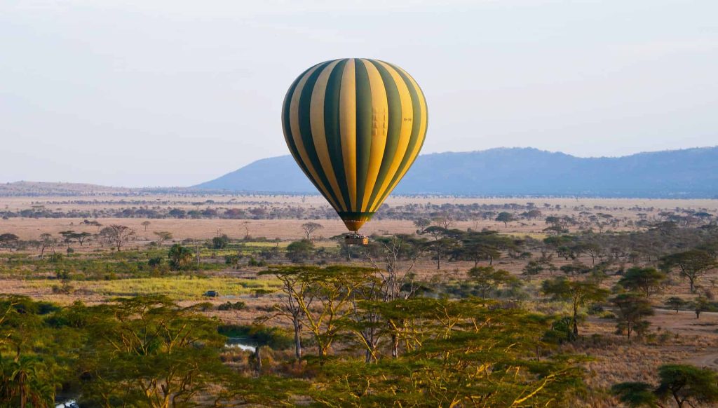 See migration herds from a hot air balloon
