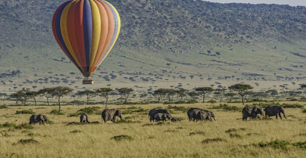 Is a Hot Air Balloon Safari Worth the Price?