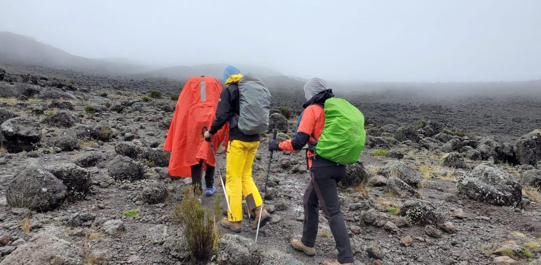 Is Altitude Sickness a Concern During Tanzania-Kenya Hiking Safaris?