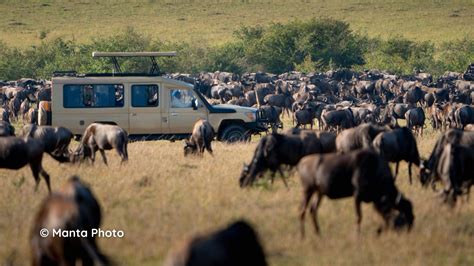 Great Migration Suitable for Family Safaris
