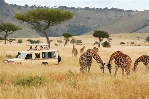 Safe Safari in Kenya and Tanzania