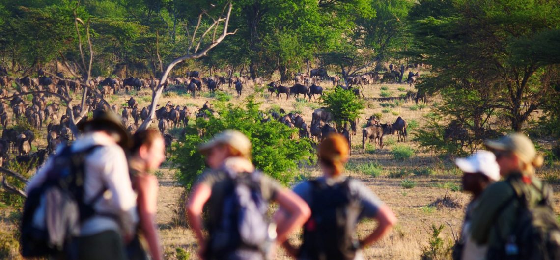Is the Great Migration Suitable for Family Safaris?