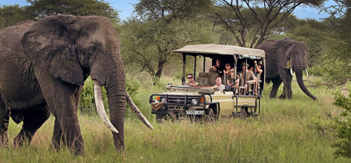 How Many Days Do I Need for a Good Safari in Kenya or Tanzania?