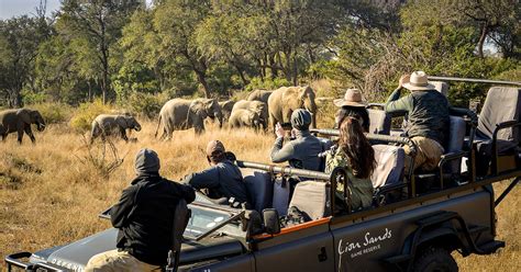 Game Drive
