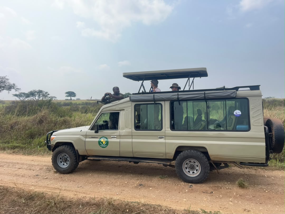 Game drive in Queen Elizabeth National Park