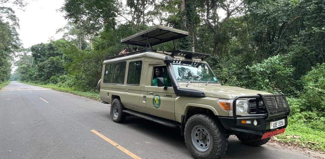 Best time to see gorillas in Uganda with Amakula African safaris