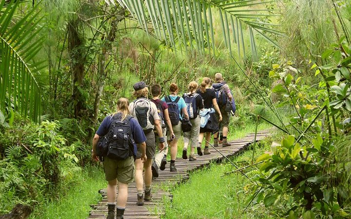 Nature Walks In Ziwa Rhino Sanctuary