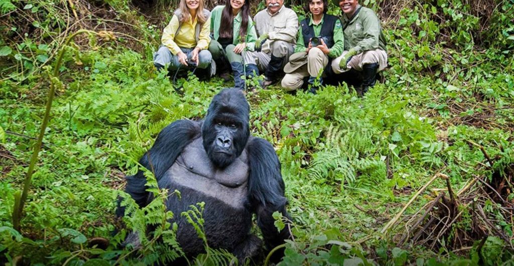 What to Wear on a Rwanda Gorilla Trekking Safari