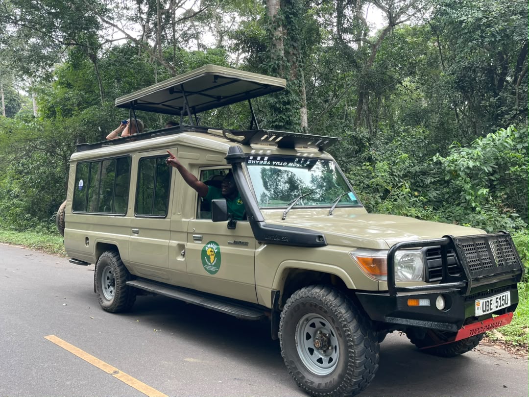 Uganda Birding Safari with Amakula African Safaris