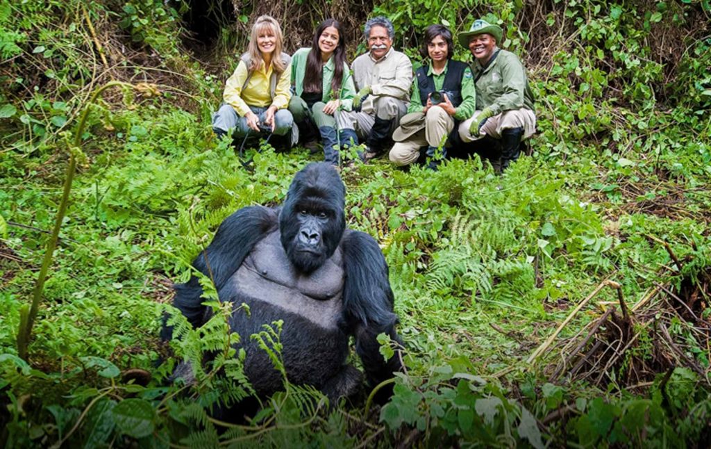 https://www.amakulaafricansafaris.com/gorilla-trekking-in-uganda/