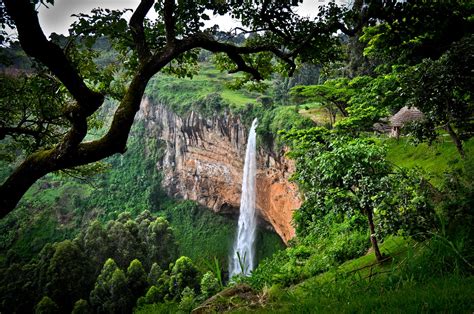 14 Days Of Uganda Gorillas Nature Walks and Nile Adventures