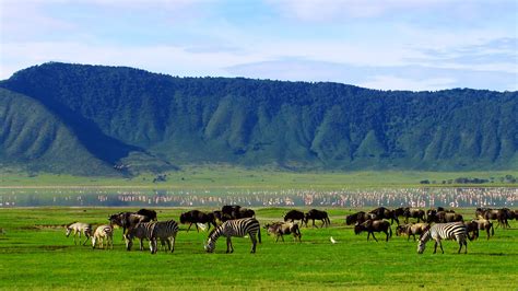 9 Days Of Birding and wildlife safari in Tanzania