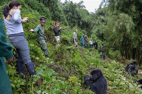 Luxury Uganda Gorilla Trekking & Kenya Safari