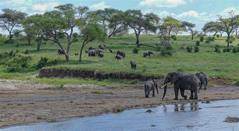 9 Days Of Tanzania Budget Wildlife Safari