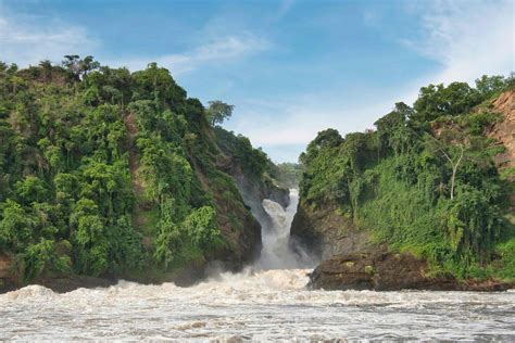 13 days of Kenya and Uganda Safari