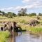 10-Days of Safari Through Tanzania’s Iconic Parks