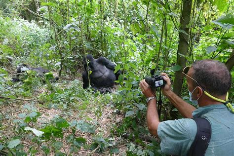 7 Day Best of Uganda Gorilla Tracking & Game Viewing