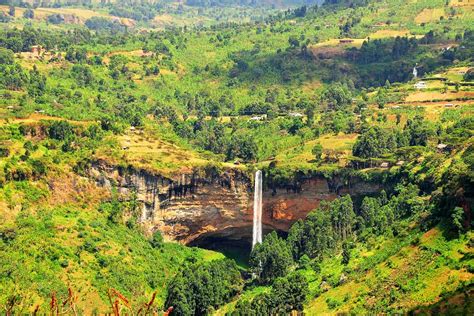 17 Days Of Uganda wildlife & Gorilla Adventure