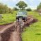 8 Days Of Birding Safari in Tanzania