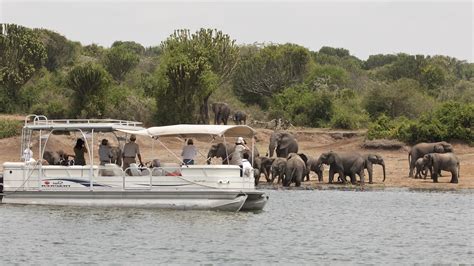 8 Luxury Days Of Rwanda Gorilla & Wildlife Safari
