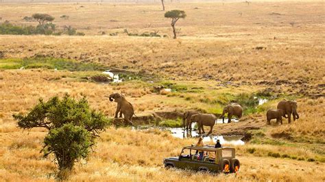 10 Days Of Classic Kenya Lewa Meru & Maasai Mara Safari 