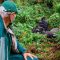4 Days Of Double Gorilla Trek Rwanda