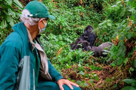 4 Days Of Double Gorilla Trek Rwanda