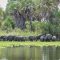 11-Days Of Ruaha & Nyerere National Parks Wildlife Safari