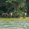8-Days Of Uganda & Tanzania Primate Safari