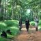 8 Days Of Rwanda Gorilla Safari