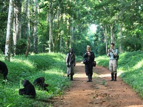 8 Days Of Rwanda Gorilla Safari