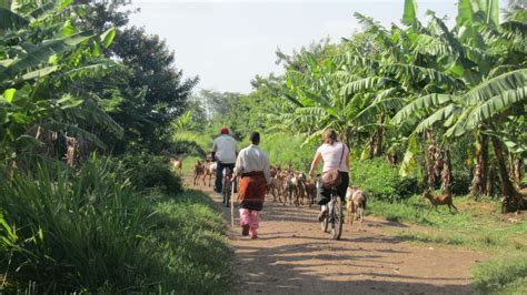 8 Days Of Family Safari in Tanzania