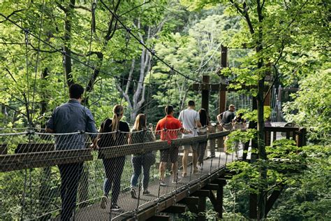 3 Days of Chimpanzee Canopy walk and Nyungwe Forest
