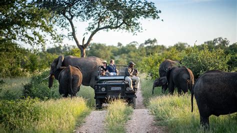 14 Days Rwanda with Kenya Tanzania Zanzibar and Kruger Safari
