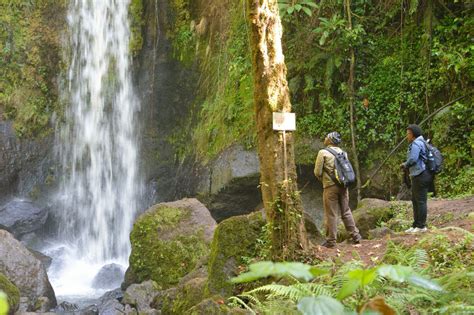 14 Days Of Kenya Leisurely Birding Tour